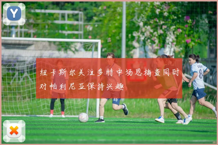 纽卡斯尔关注多特中场恩梅查同时对帕利尼亚保持兴趣