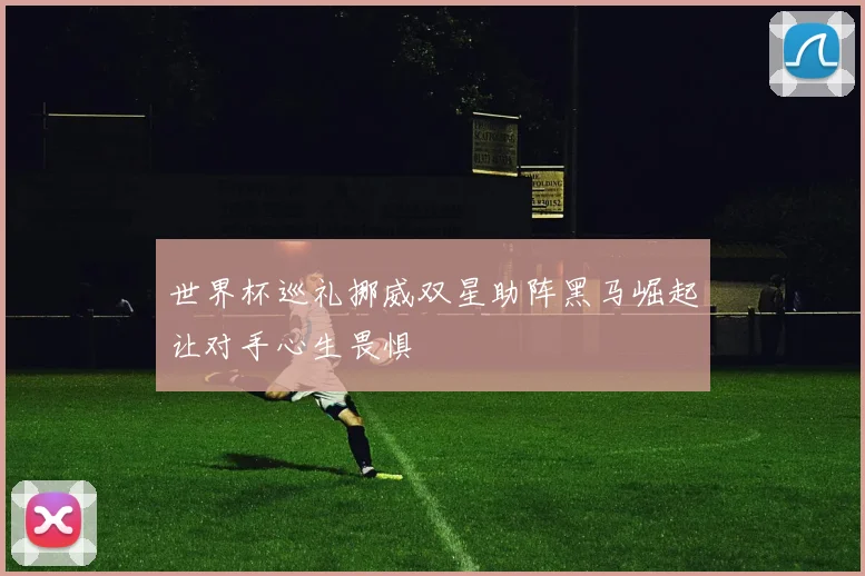 世界杯巡礼挪威双星助阵黑马崛起让对手心生畏惧
