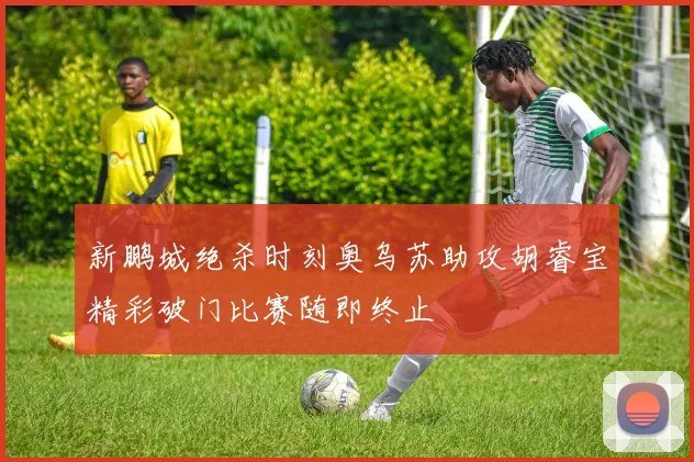 新鹏城绝杀时刻奥乌苏助攻胡睿宝精彩破门比赛随即终止