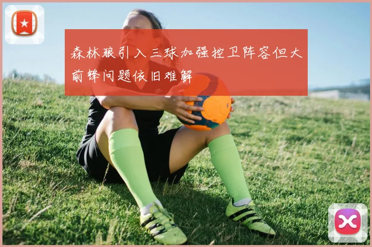 森林狼引入三球加强控卫阵容但大前锋问题依旧难解